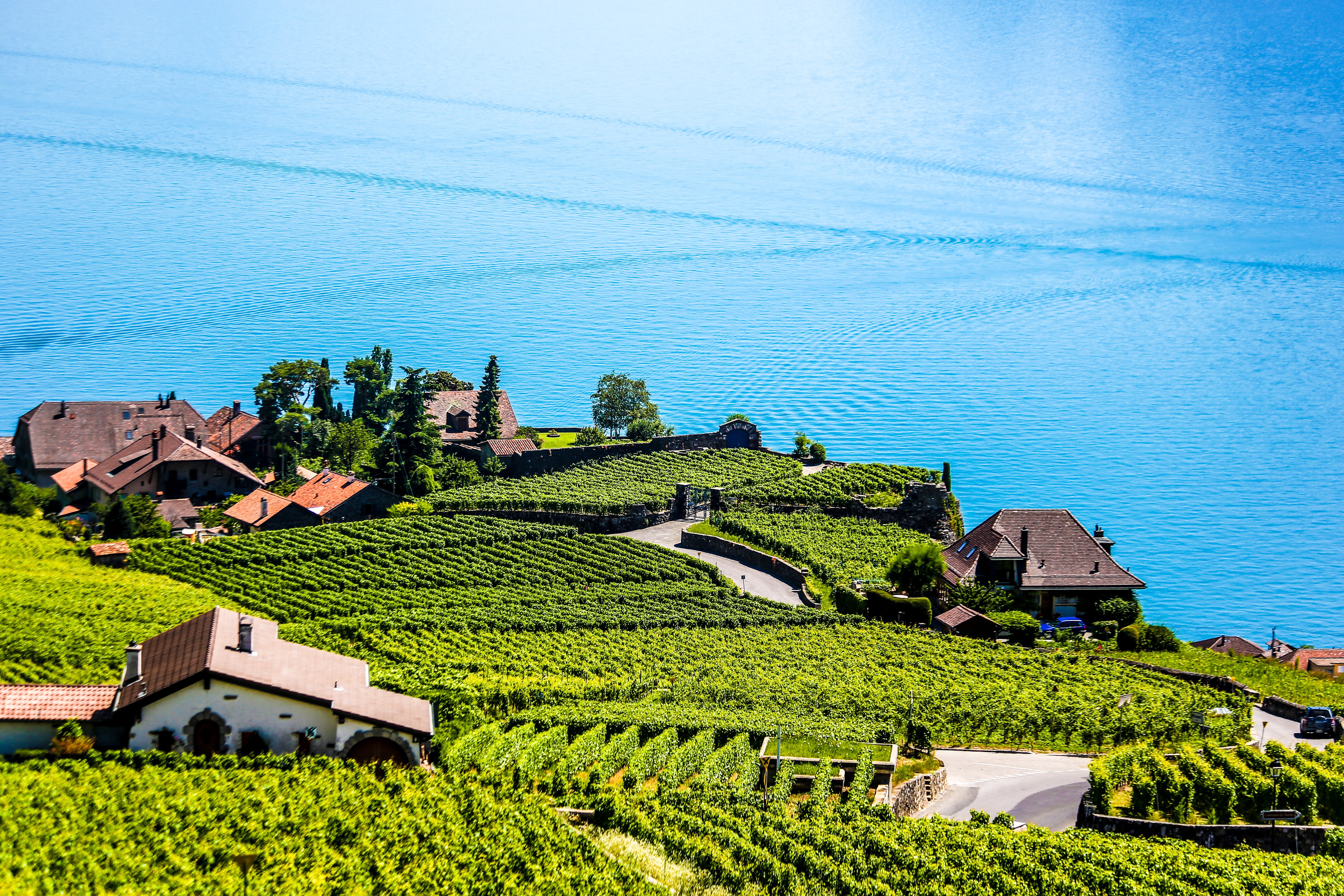 Scenic Train Journey for Swiss Day Trips